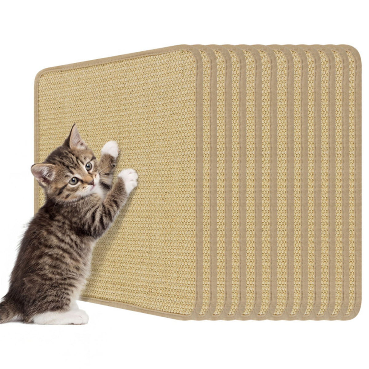 16 x 12 Inch Natural 6-Piece Cat Scratching Mats