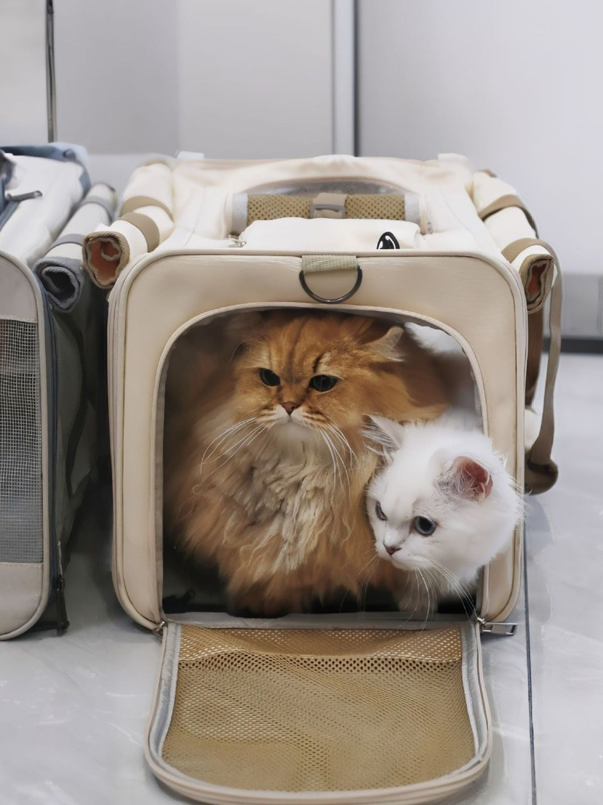 Comfortable Breathable Pet Carrier Bag