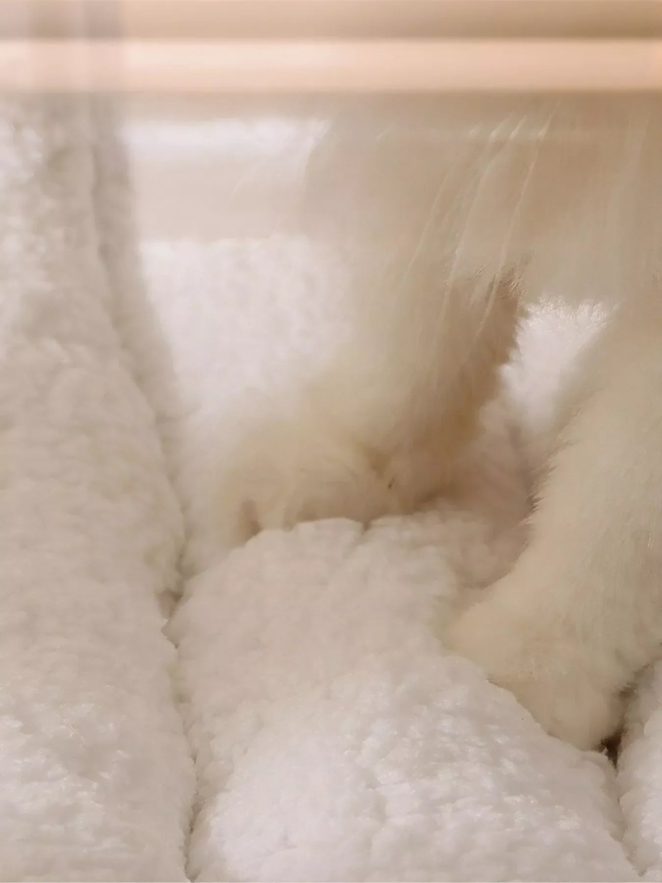 Cozy Plush Pet Tunnel Nest