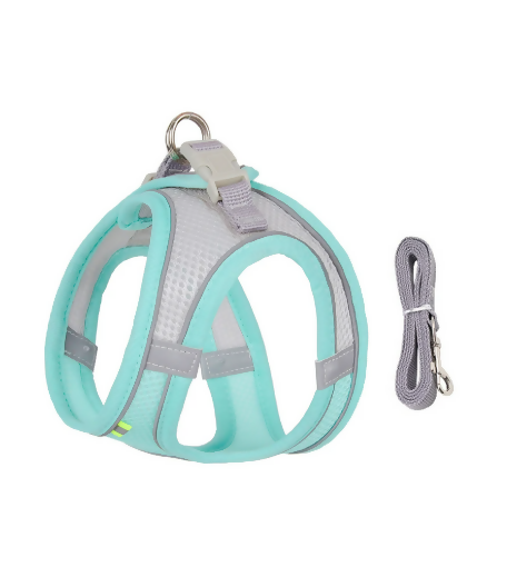 Reflective Mesh Harness & Leash Set