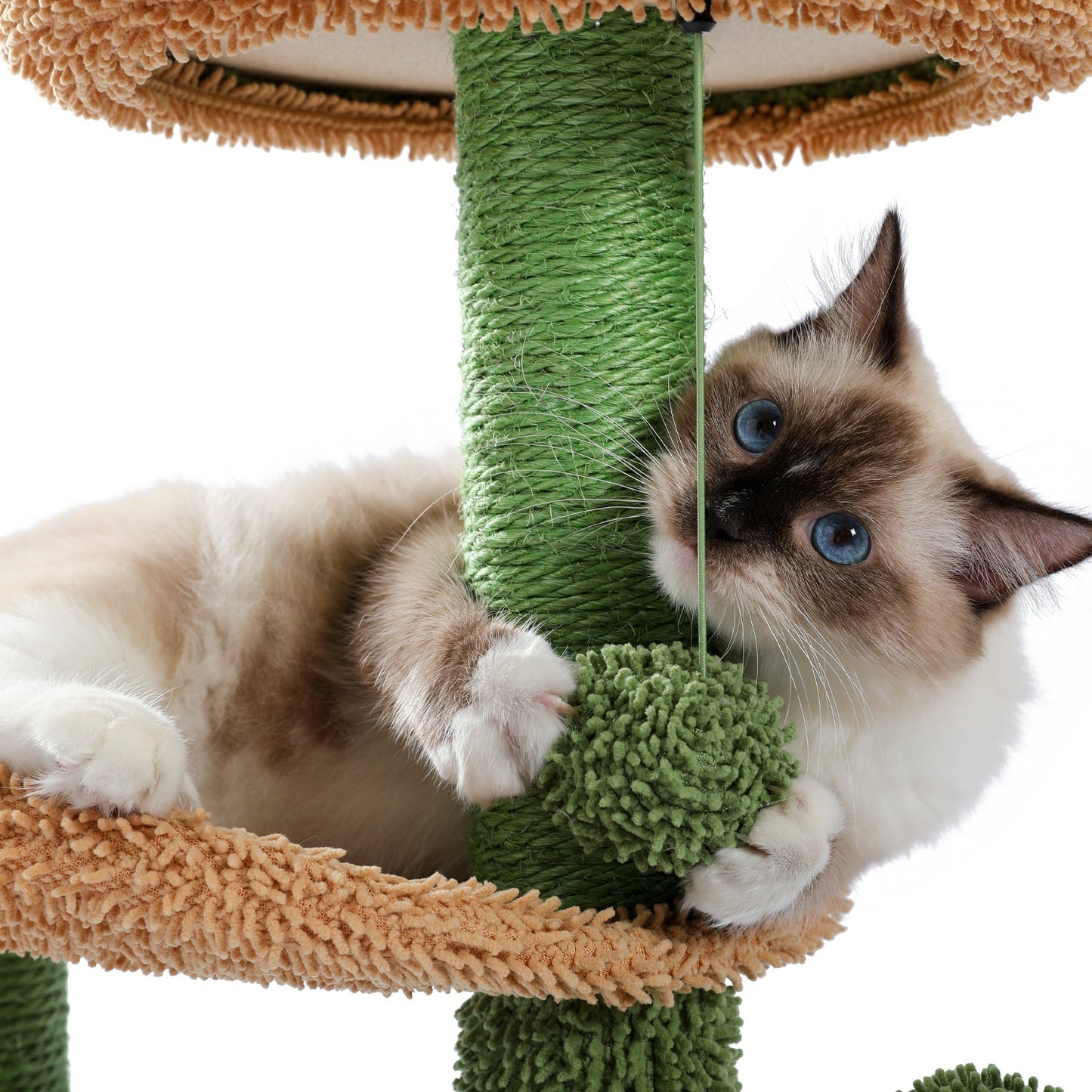 Cactus Cat Tree Cat Tower