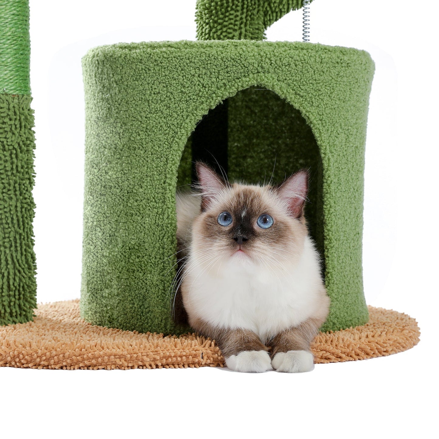 Cactus Cat Tree Cat Tower