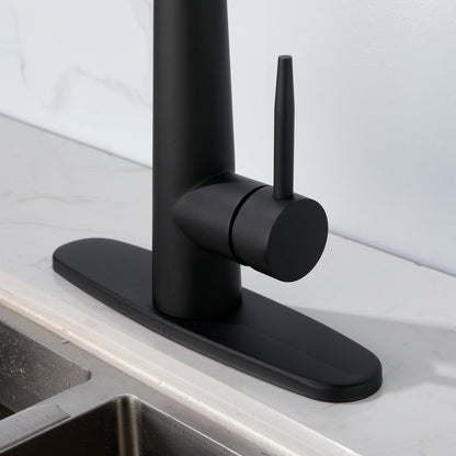 Kitchen Faucets with Pull Down Sprayer