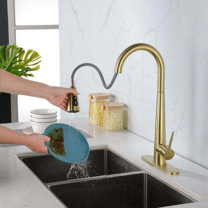 Gold Kitchen Faucets with Pull Down Sprayer