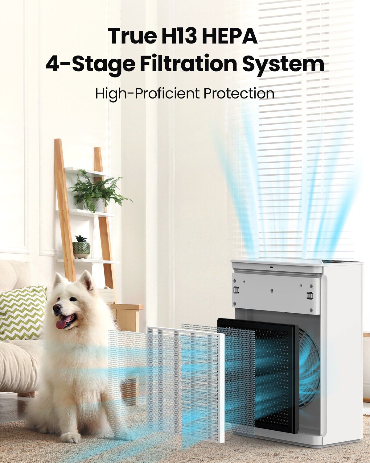 Air Purifiers for Home Large Room