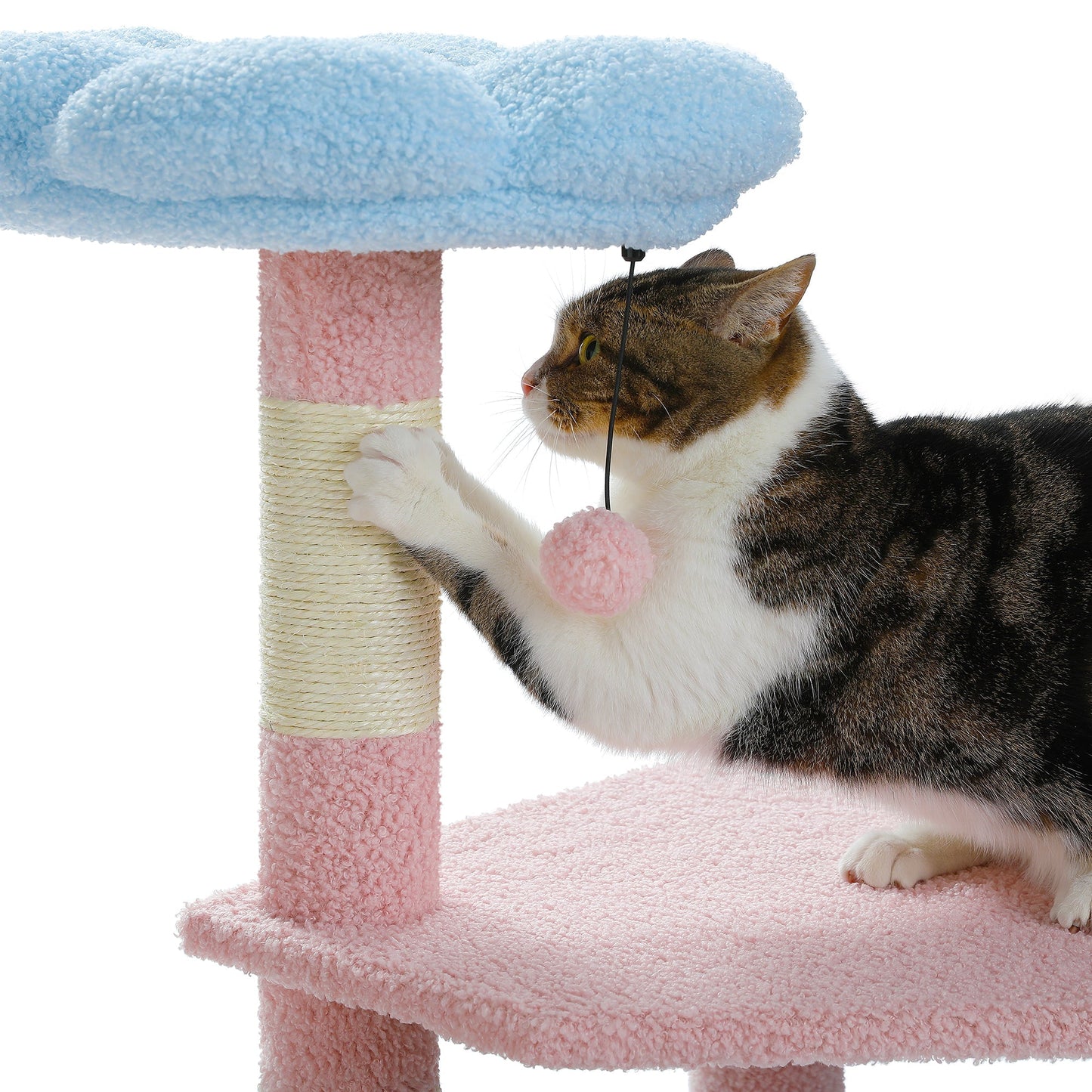 Multi-Level Cat Tower