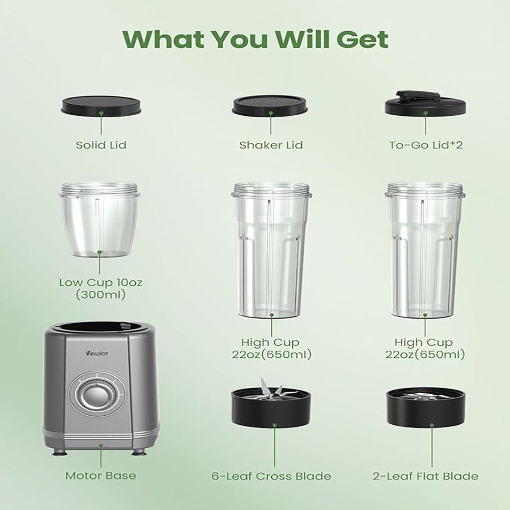 1000W Blender for Shakes and Smoothies