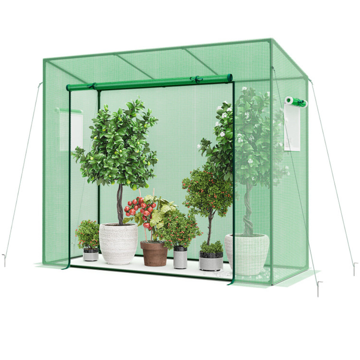 Outdoor Mini Greenhouse