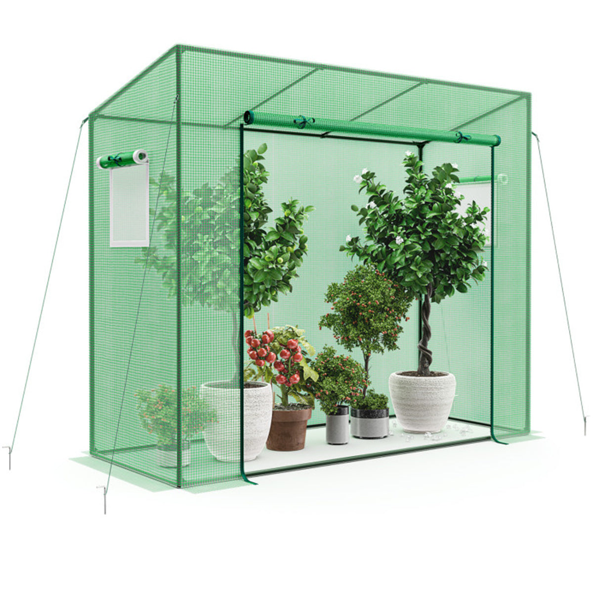 Outdoor Mini Greenhouse