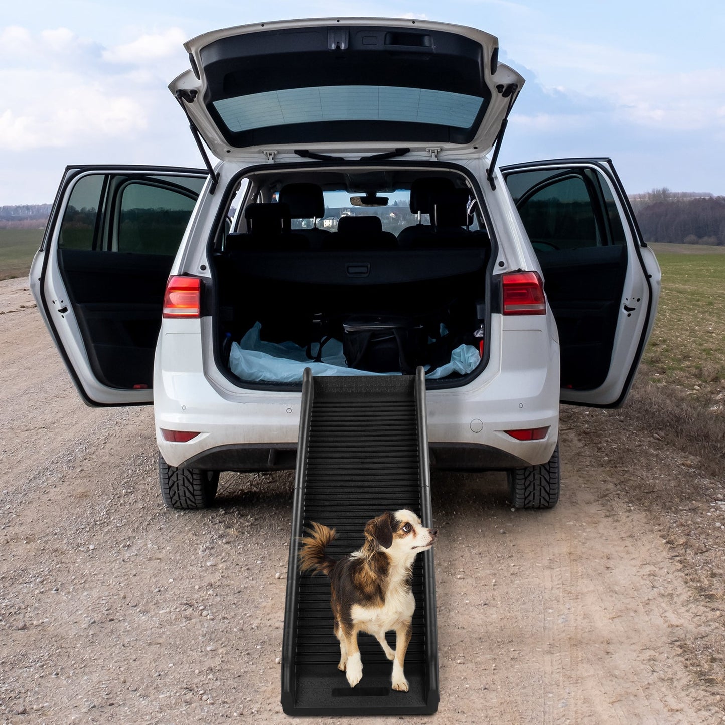 Portable Lightweight Pet Ramp