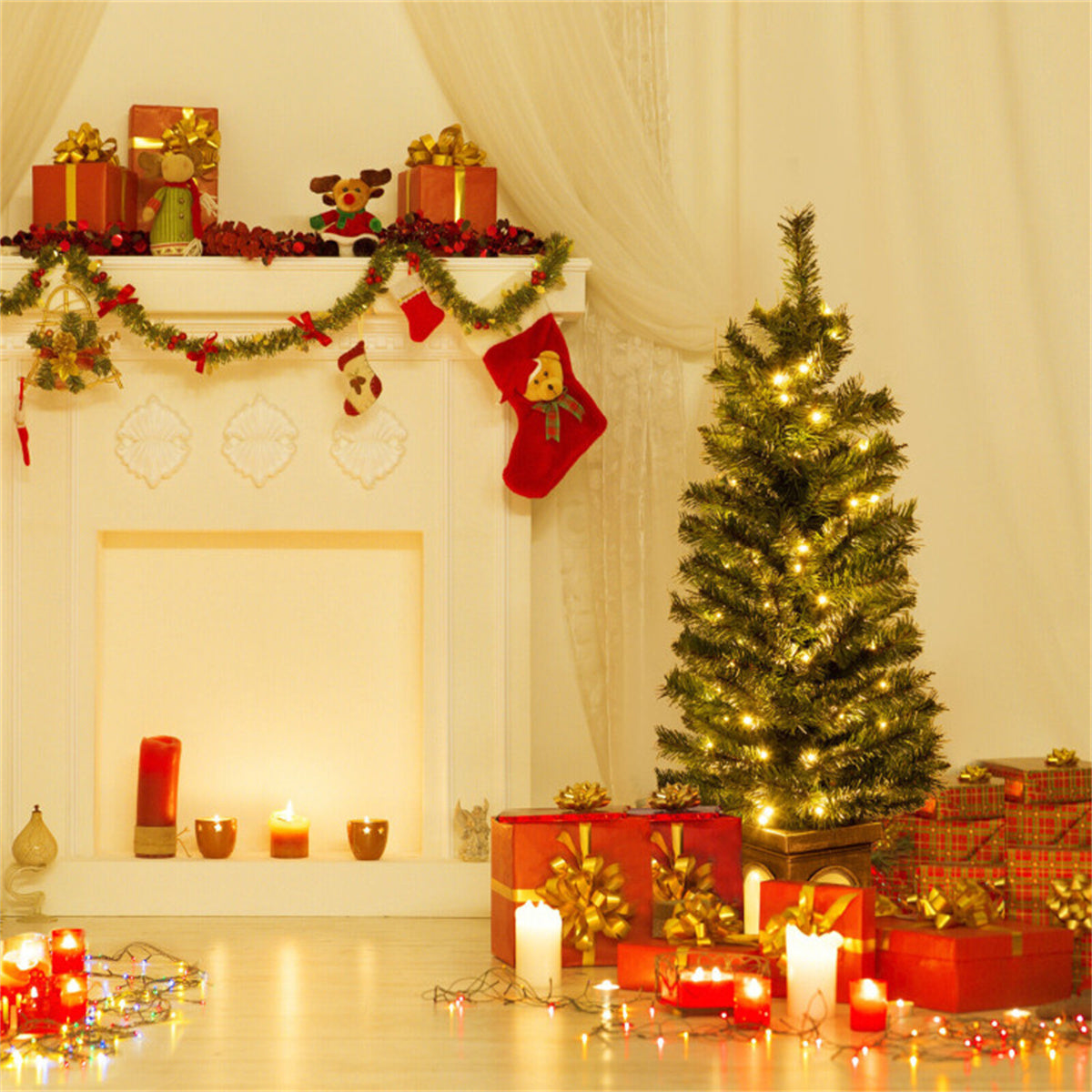 Potted Christmas tree, view 3
