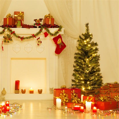 Potted Christmas tree, view 3