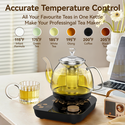 Compact Tea Maker Electric Glass Kettle