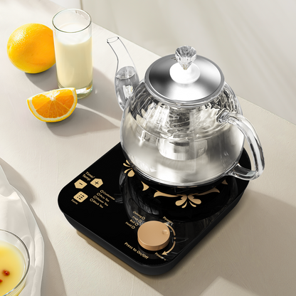 Compact Tea Maker Electric Glass Kettle