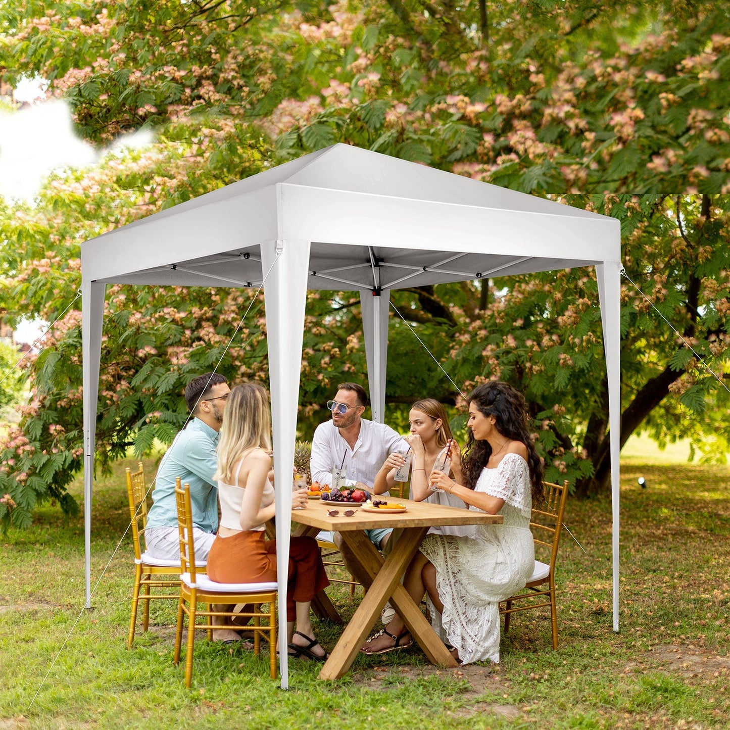 6.5x6.5ft Pop Up Canopy Tent