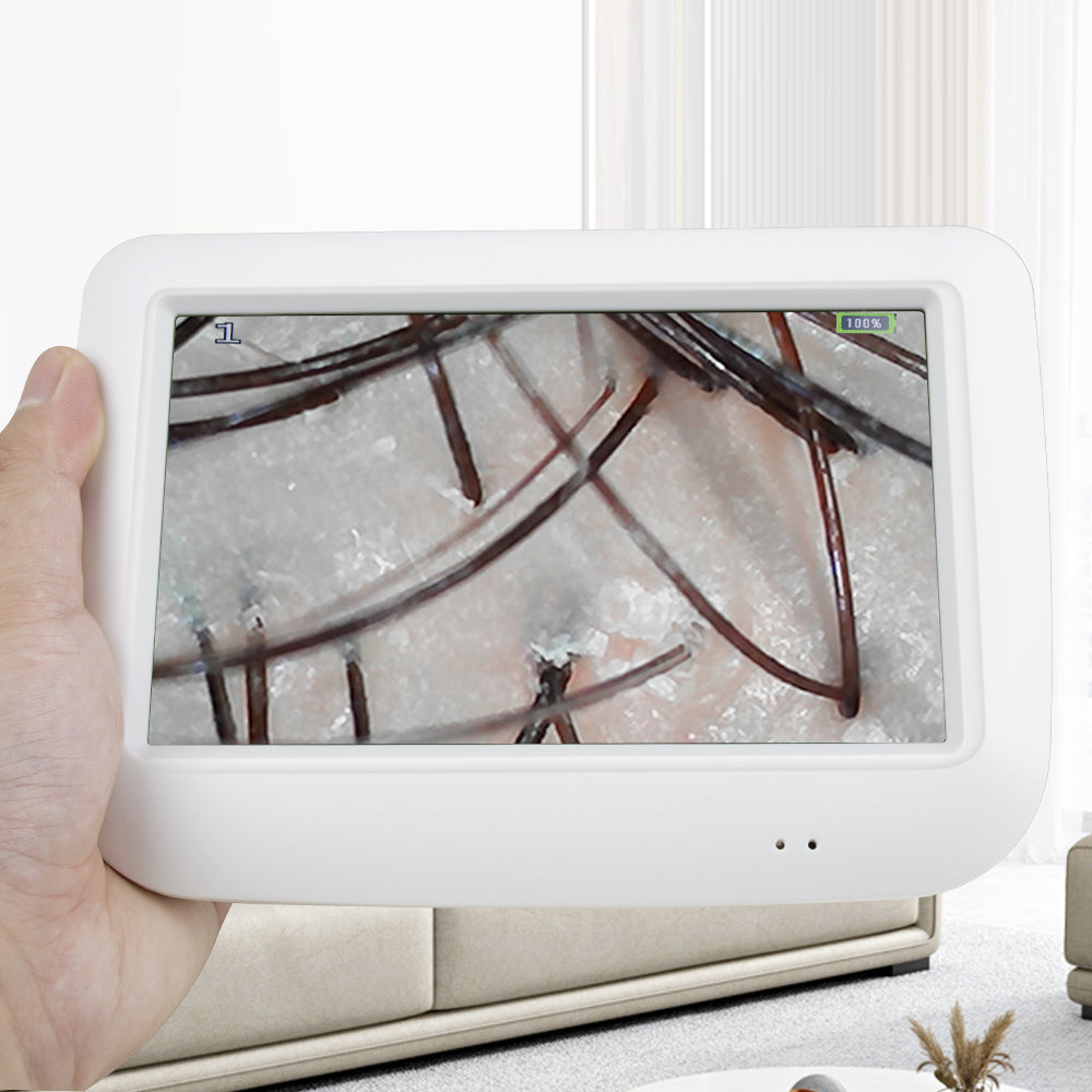 5 Inch LCD Digital Skin Diagnosis system