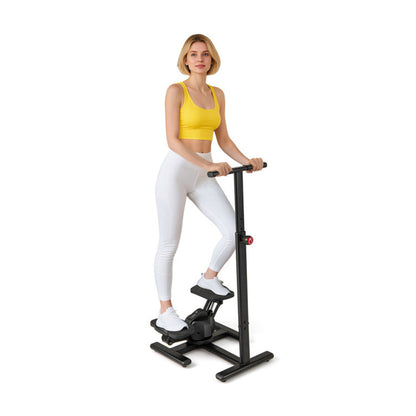 Multi-Functional Exercise Stepper