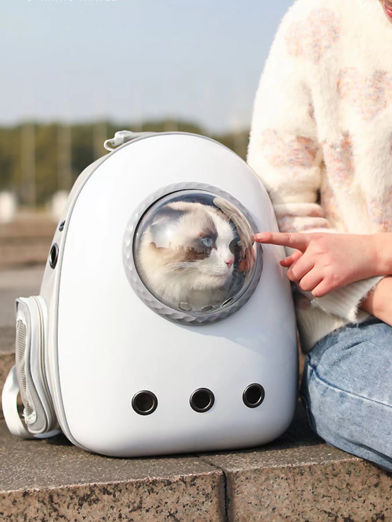 Space Capsule Transparent Pet Carrier Backpack