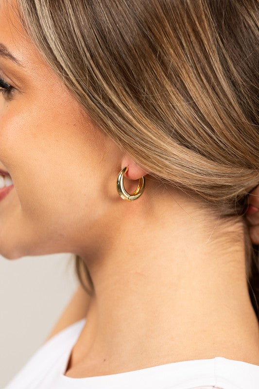 14K Stainless Steel Huggie Earings