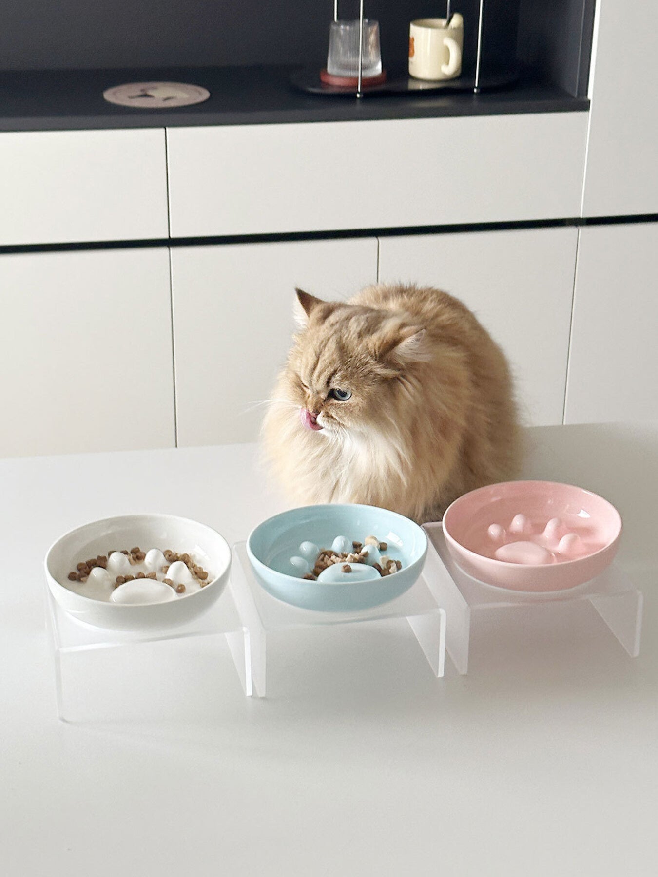 Elevated Slow Feeder Pet Bowls
