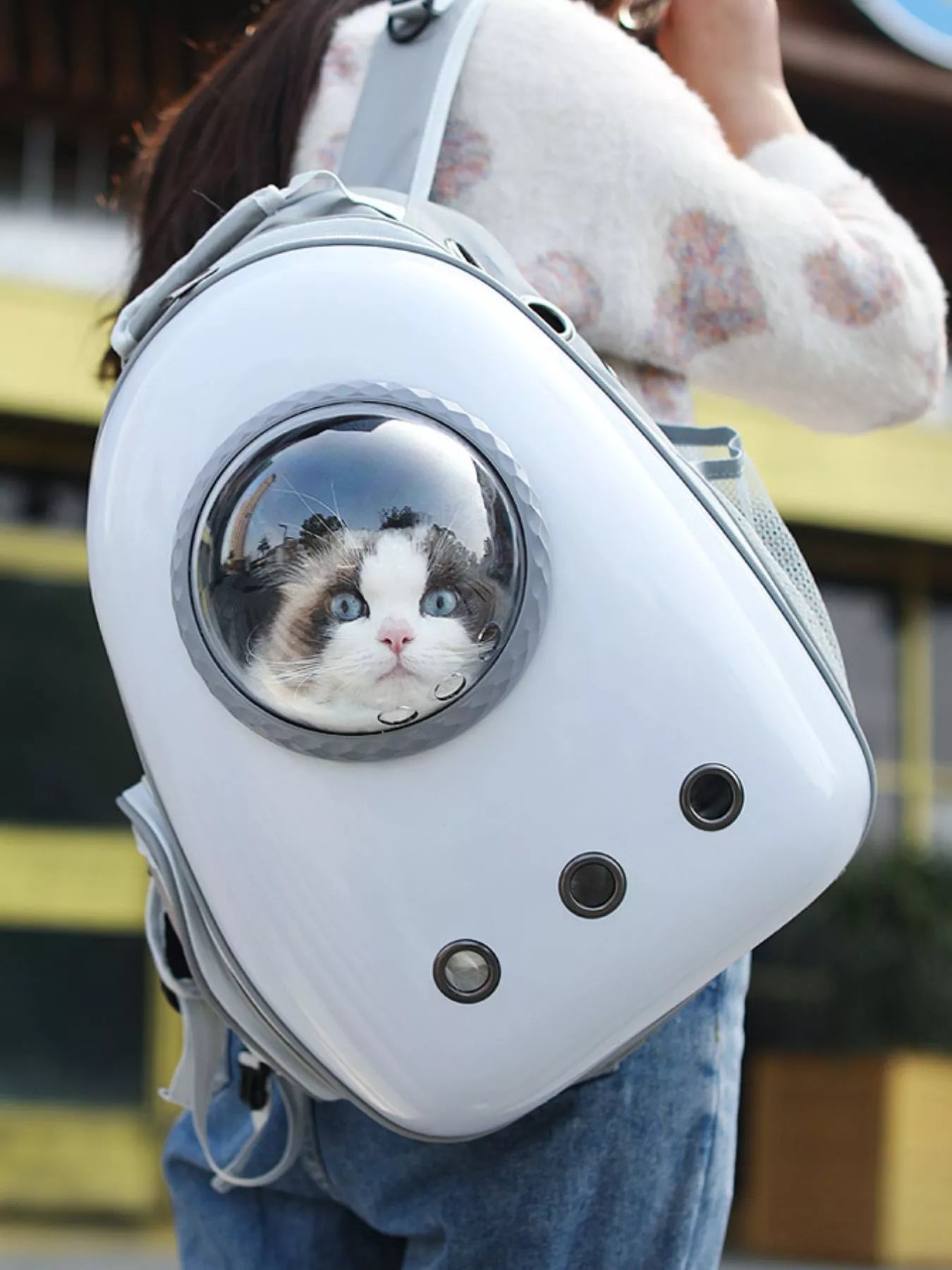 Space Capsule Transparent Pet Carrier Backpack