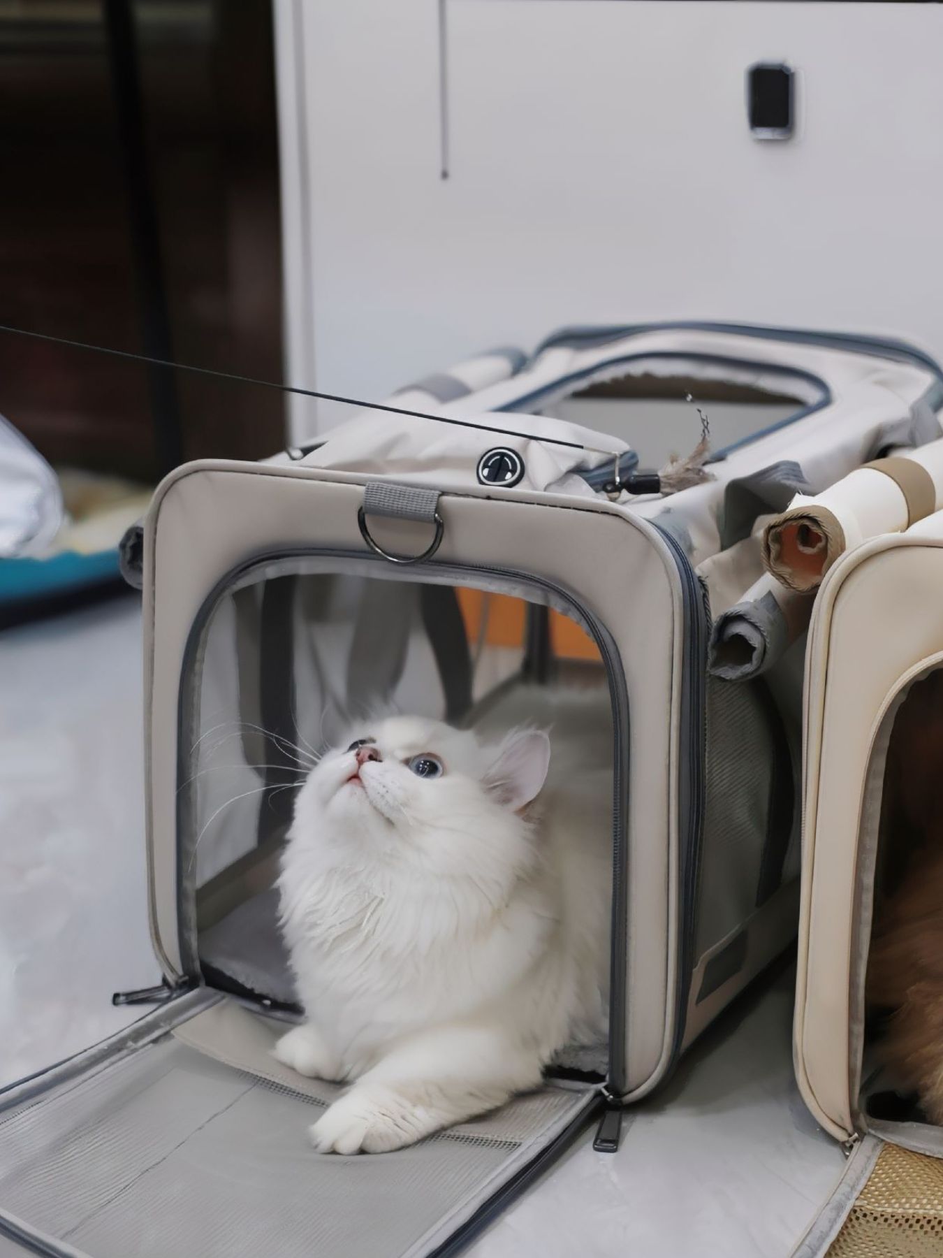 Comfortable Breathable Pet Carrier Bag