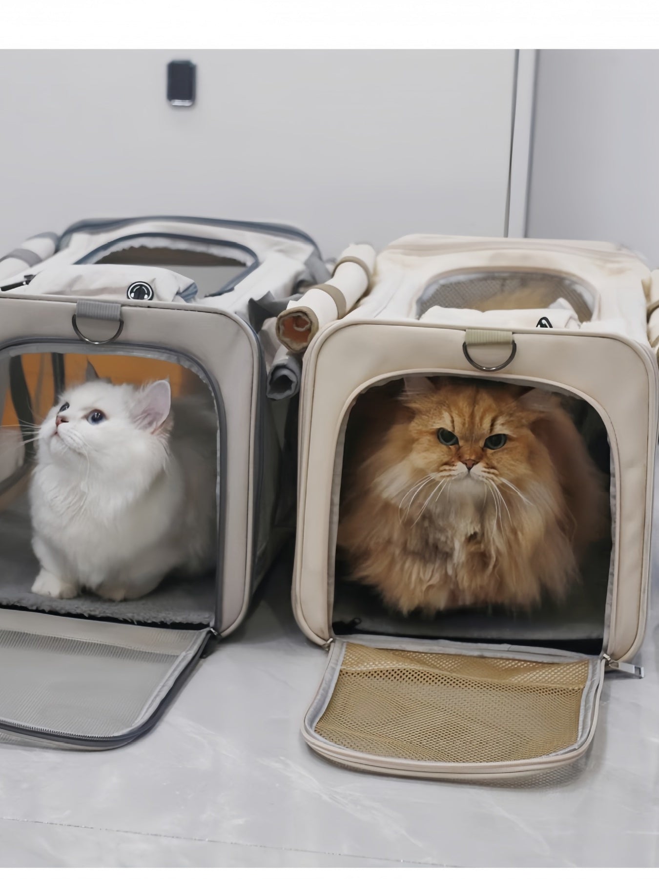 Comfortable Breathable Pet Carrier Bag