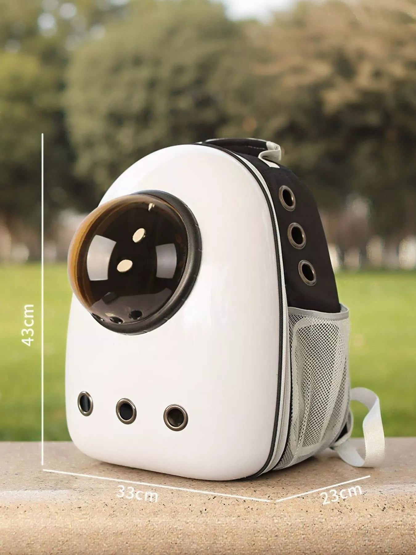 Space Capsule Transparent Pet Carrier Backpack