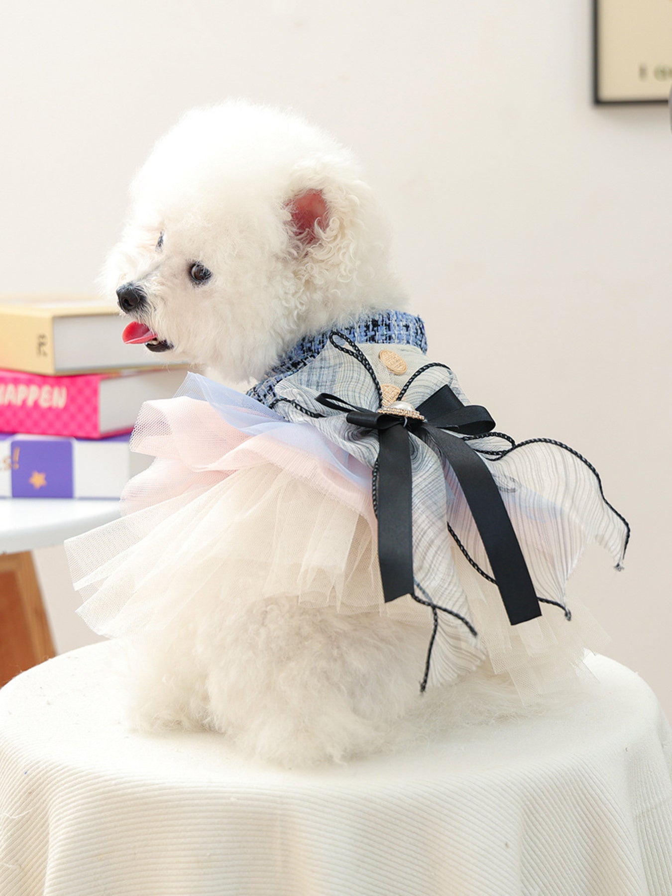 Tweed Pet Dress with Ruffle