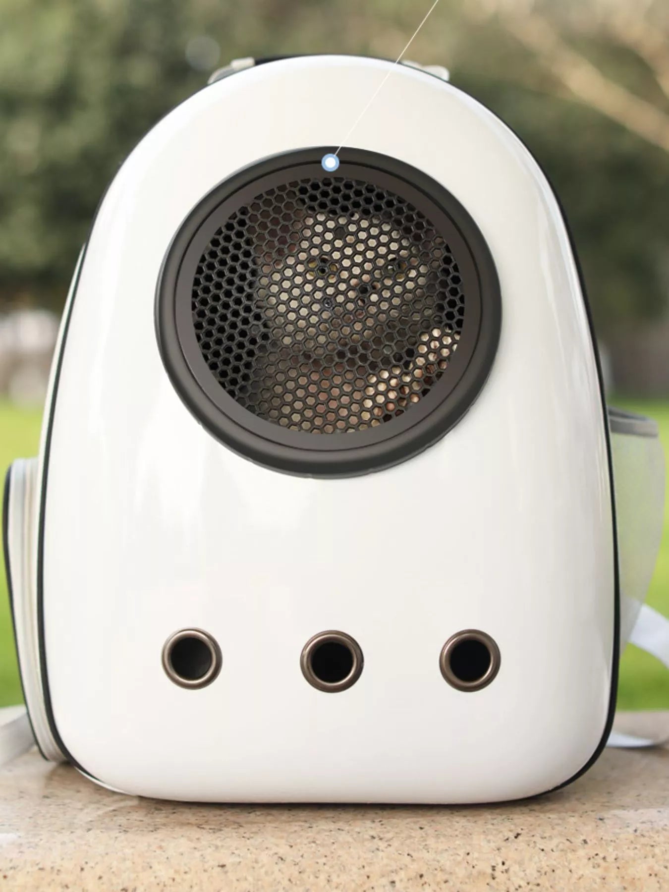 Space Capsule Transparent Pet Carrier Backpack