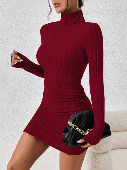 Turtleneck Ribbed Bodycon Knit Dress