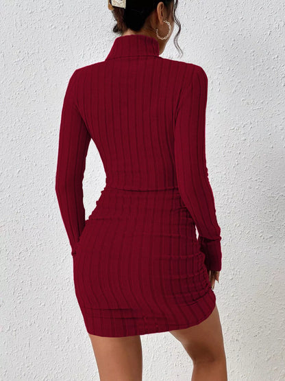 Turtleneck Ribbed Bodycon Knit Dress
