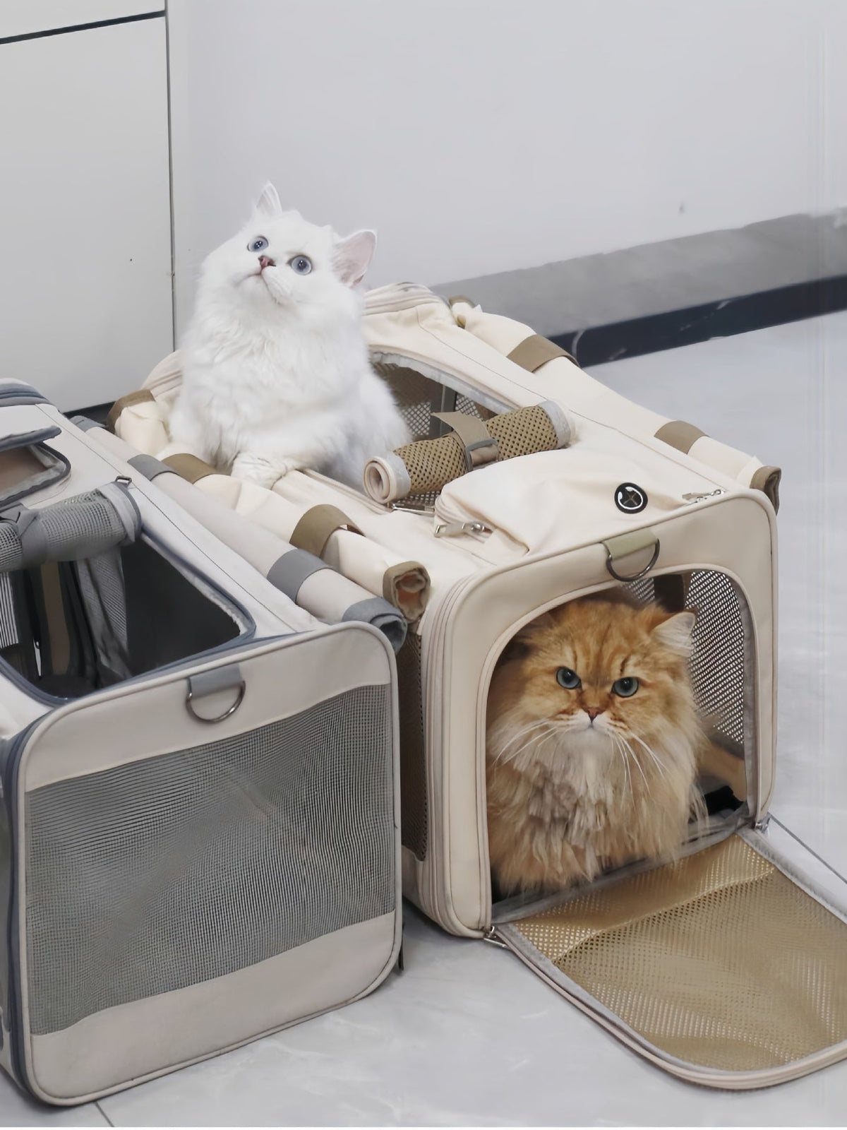 Comfortable Breathable Pet Carrier Bag