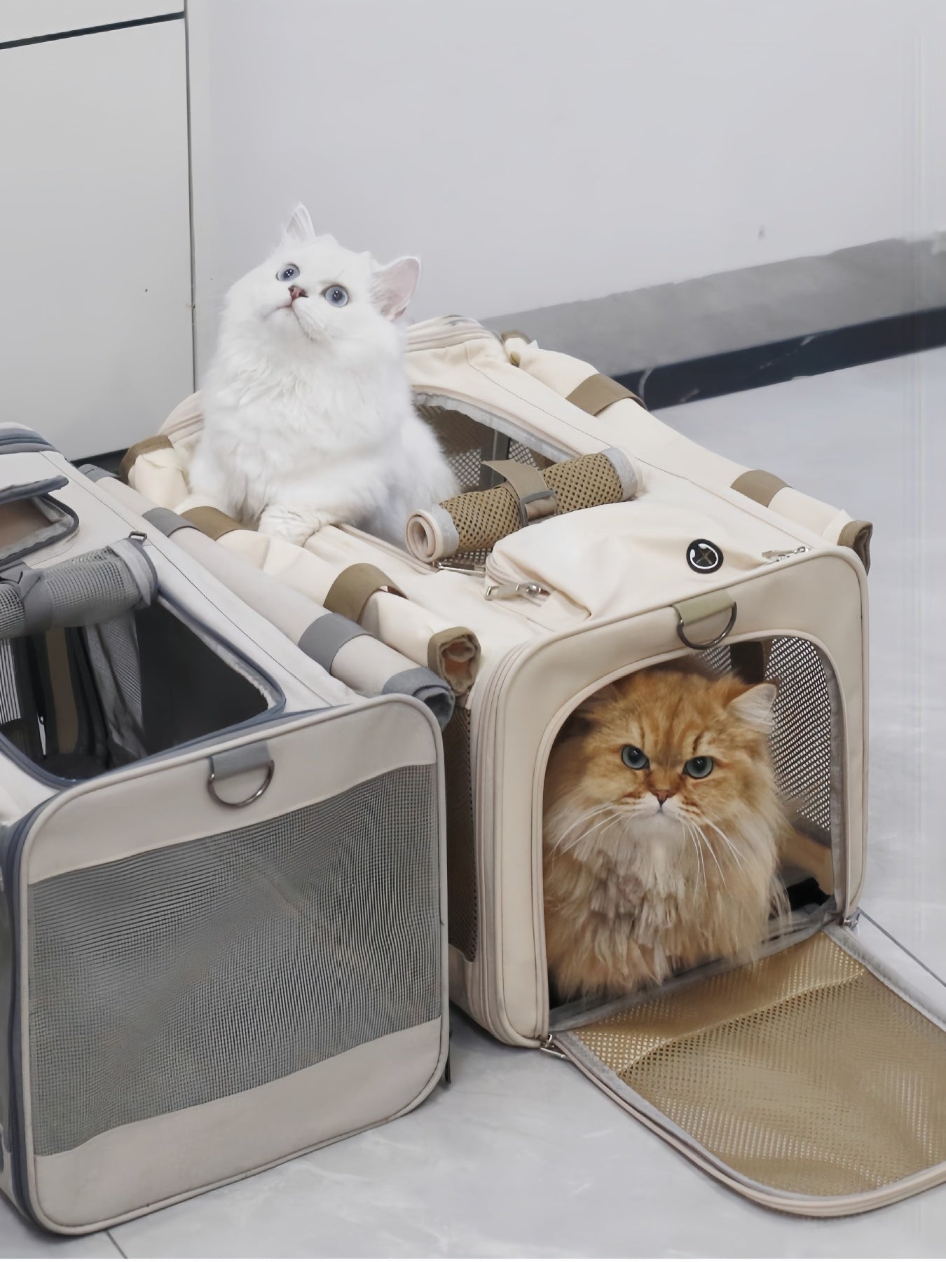 Comfortable Breathable Pet Carrier Bag