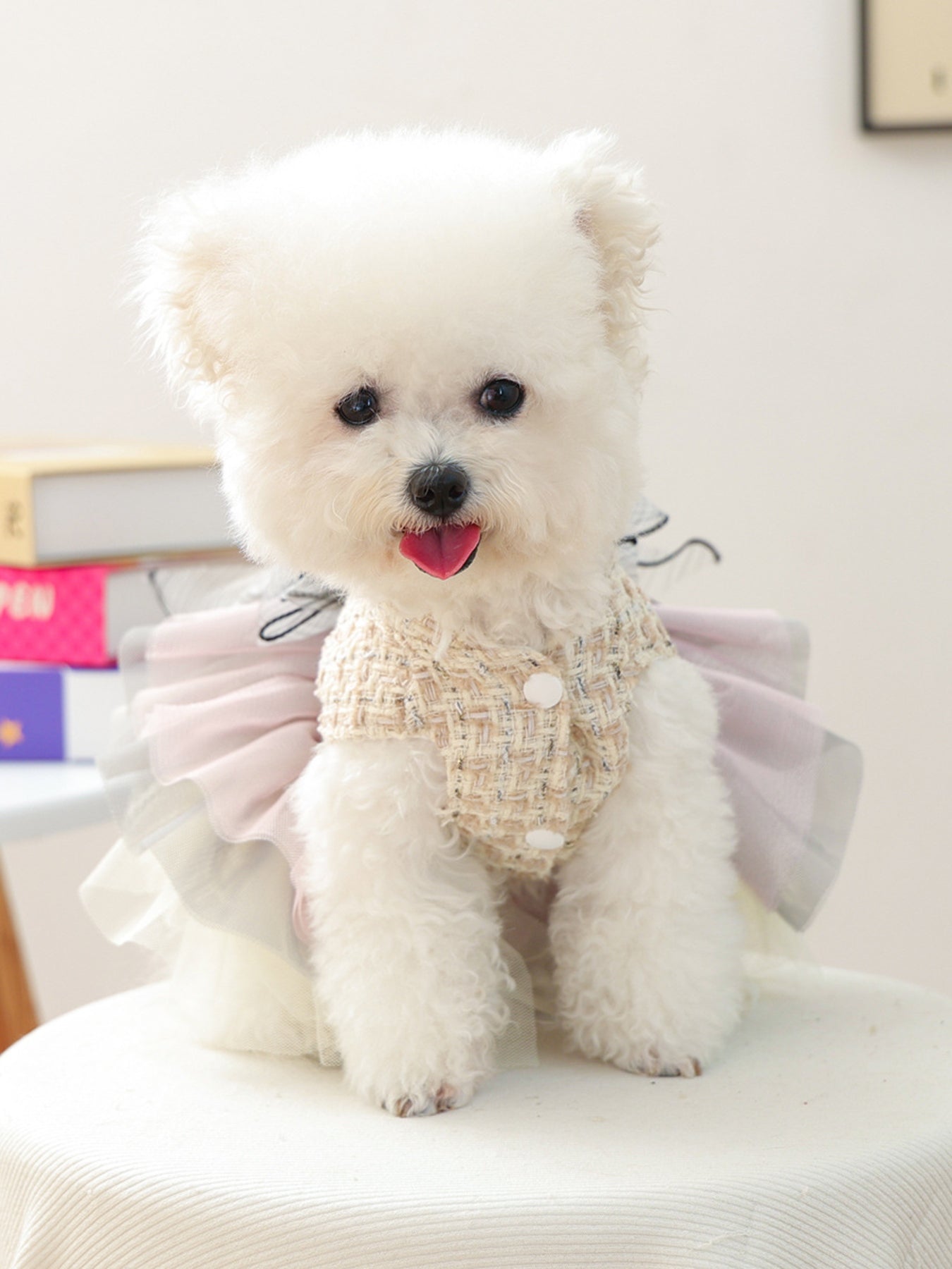 Tweed Pet Dress with Ruffle