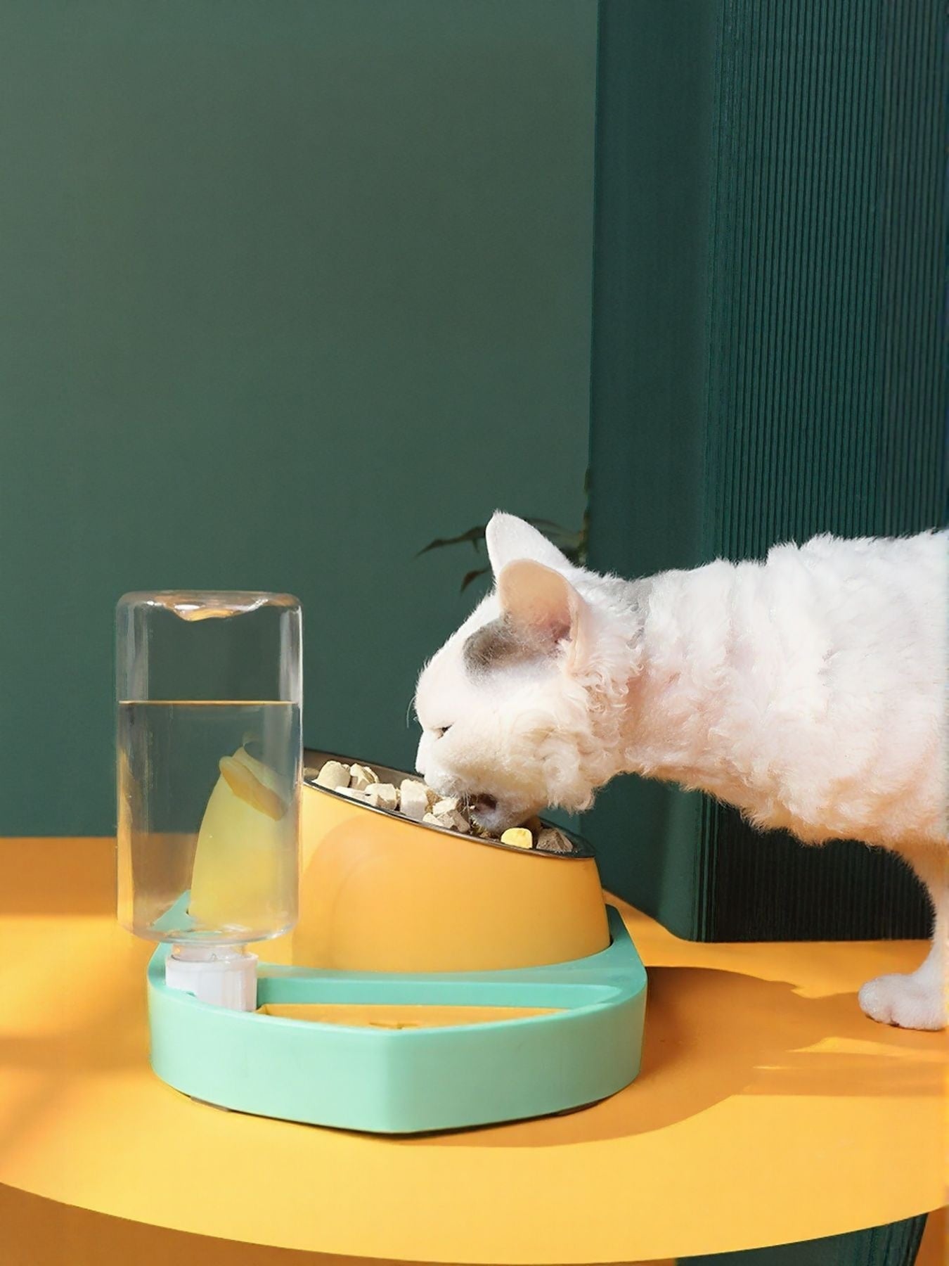 Automatic Water Refill Pet Bowl