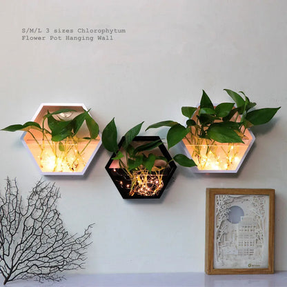 Wall Mounted Plant Pot