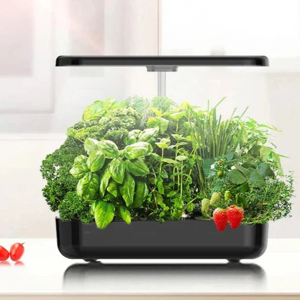 Hydroponic LED Growing System