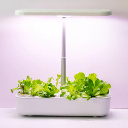 Hydroponic LED Growing System