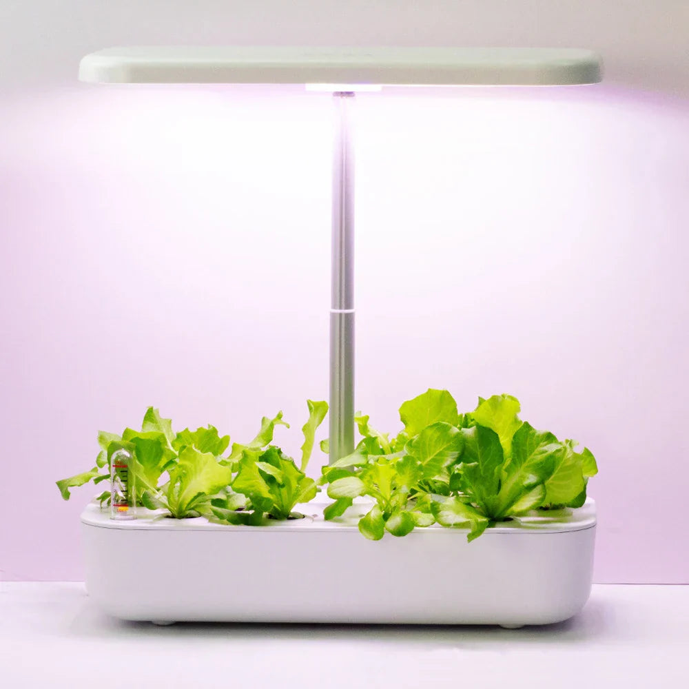 Hydroponic LED Growing System