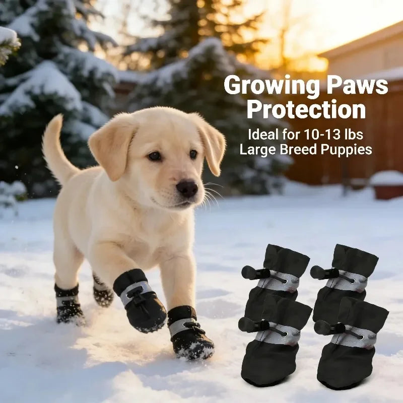 Canvas dog shoes, view 3