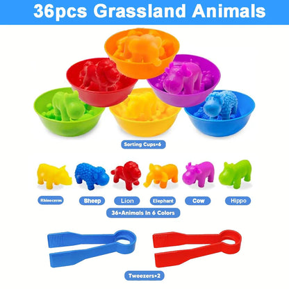 Montessori Animal Sorting Toy