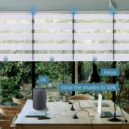 Dual Layer Blackout Smart  Blinds