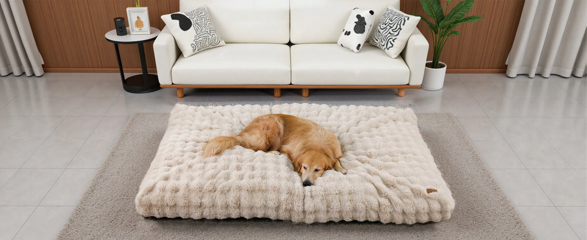 Sofa-style dog bed, view 8