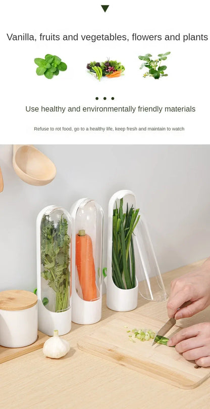 Refrigerator Herb Crisper Saver Container Vegetable
