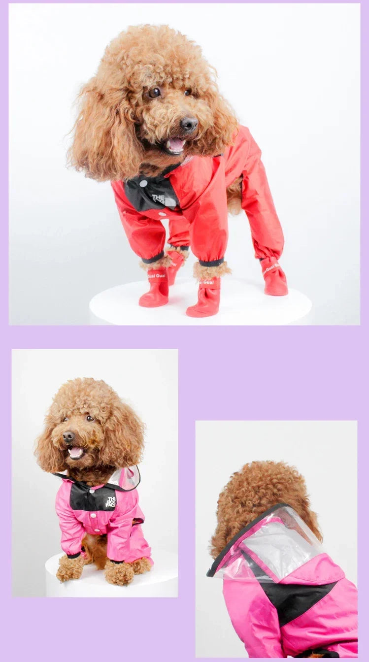 Transparent Hooded Waterproof Dog Raincoat