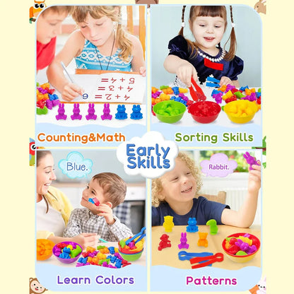 Montessori Animal Sorting Toy