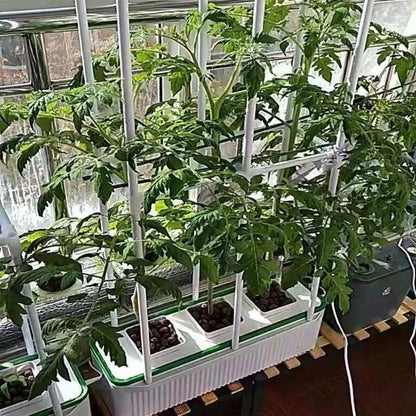 Smart growing systems