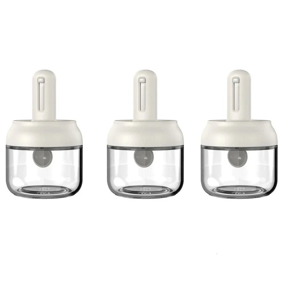 Glass Seasoning Bottle With Telescopic Spoon