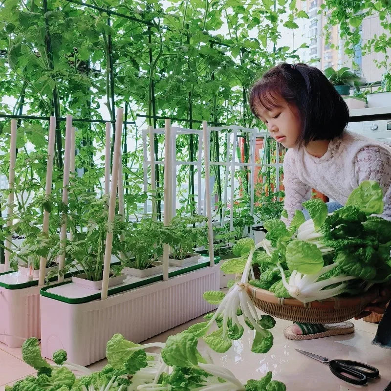 Smart growing systems